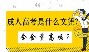 2021年成人高考哪些專業(yè)對口公務(wù)員考試呢？