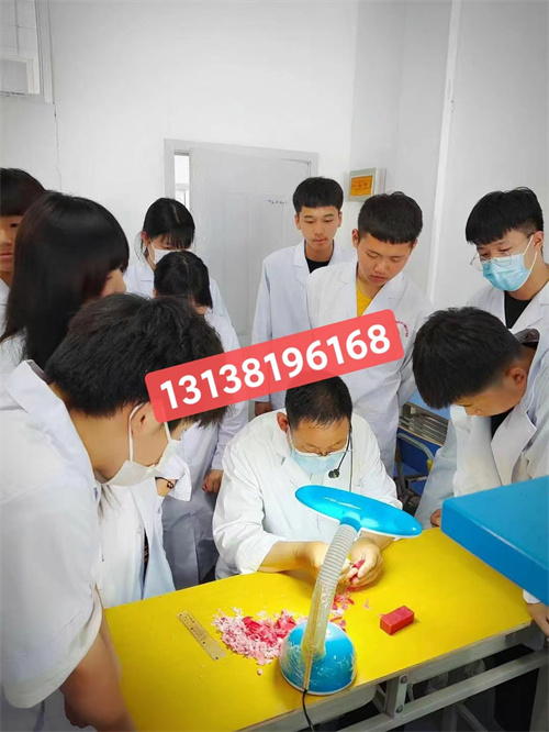 石家莊白求恩醫(yī)學(xué)院升學(xué)對(duì)口高考和單招有什么區(qū)別？