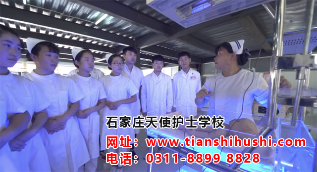 石家莊天使護士學校報名錄取條件
