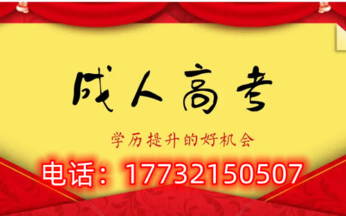 干貨！備考必讀，成考不踩雷！