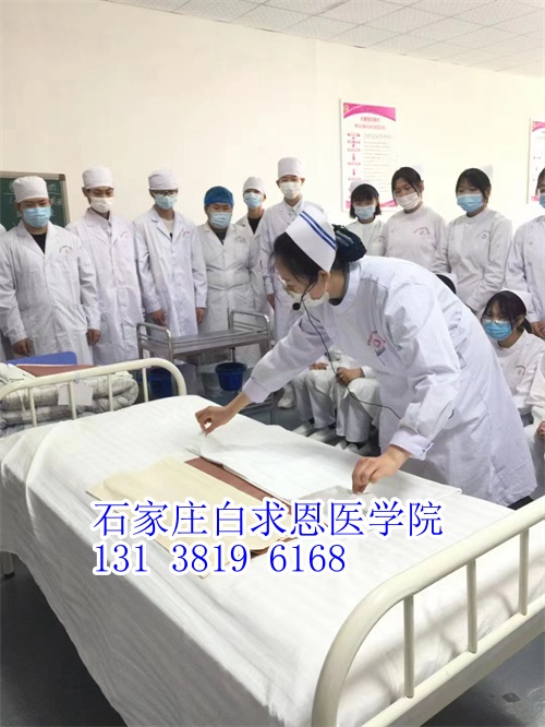 河北對(duì)口高考和對(duì)口單招有什么不同？