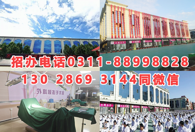2025年石家莊天使護(hù)士學(xué)校秋季招生簡(jiǎn)章