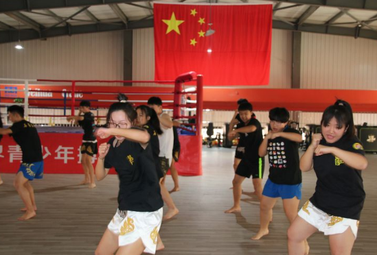 石家莊開設體育專業(yè)、武術(shù)專業(yè)的學校